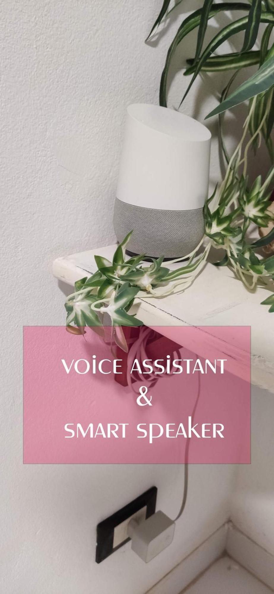 Apart-Hotel Ca Elsa Sal Rei Phòng bức ảnh